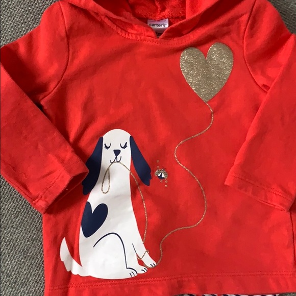 Carter's two piece hoodie and matching pants - Picture 3 of 8